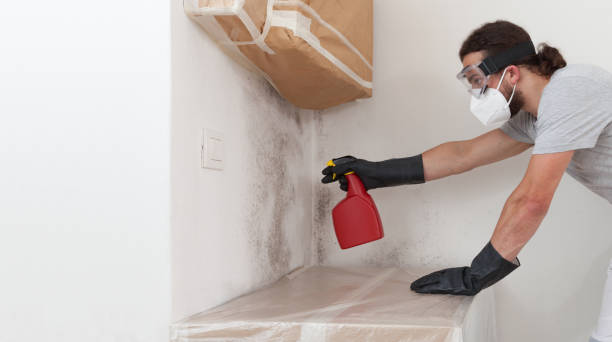 Professional Mold Removal technician working in Old Westbury, NY